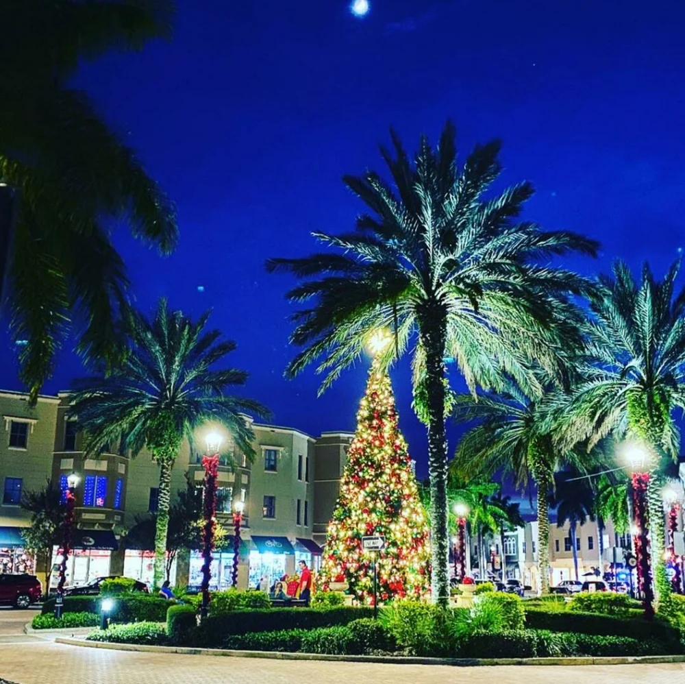 🎄🎁Let's Shop Poshmark for the Allidays!🎁🎄 Get it, All of the Holidays ❤